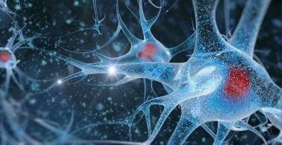 Dolore: ruolo della sensibilizzazione centrale Physiotherapy | Dolore: ruolo della sensibilizzazione centrale