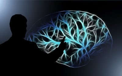 Educazione alla neurofisiologia del dolore e mal di schiena Physiotherapy | Educazione alla neurofisiologia del dolore e mal di schiena