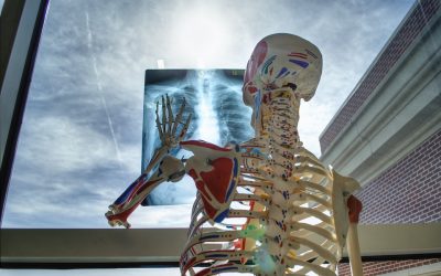 Mal di schiena: quando preoccuparsi? Physiotherapy | Mal di schiena: quando preoccuparsi?