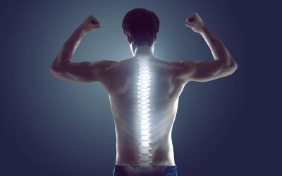 Come diminuire il dolore alla schiena? Tirando su grandi pesi! Physiotherapy | Come diminuire il dolore alla schiena? Tirando su grandi pesi!