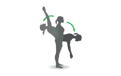 La flessione spinale è utile o meno? Physiotherapy | La flessione spinale è utile o meno?