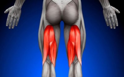 Strappo muscolare posteriore alla coscia?