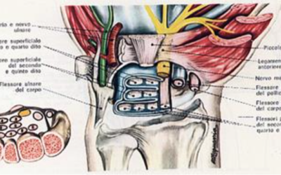 Sindrome del tunnel carpale (STC) Physiotherapy | Sindrome del tunnel carpale (STC)