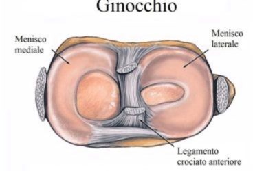 Sport estivi? Sì, ma attenzione alle lesioni meniscali Physiotherapy | Sport estivi? Sì, ma attenzione alle lesioni meniscali