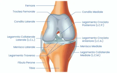 Artrosi del ginocchio Physiotherapy | Artrosi del ginocchio